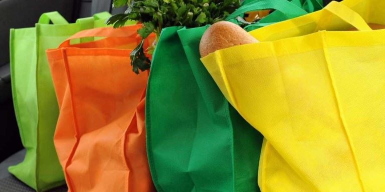 Does ALDI Have Bags In 2022 BYO Price Types More 