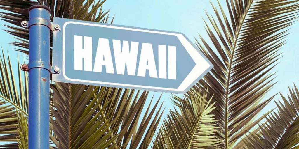 Does Amazon Ship To Hawaii In 2023 Price More 