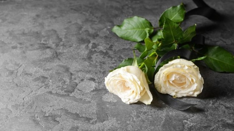 Family Dollar Bereavement Policy In 2023 Full Guide Family dollar bereavement policy in 2023 full guide